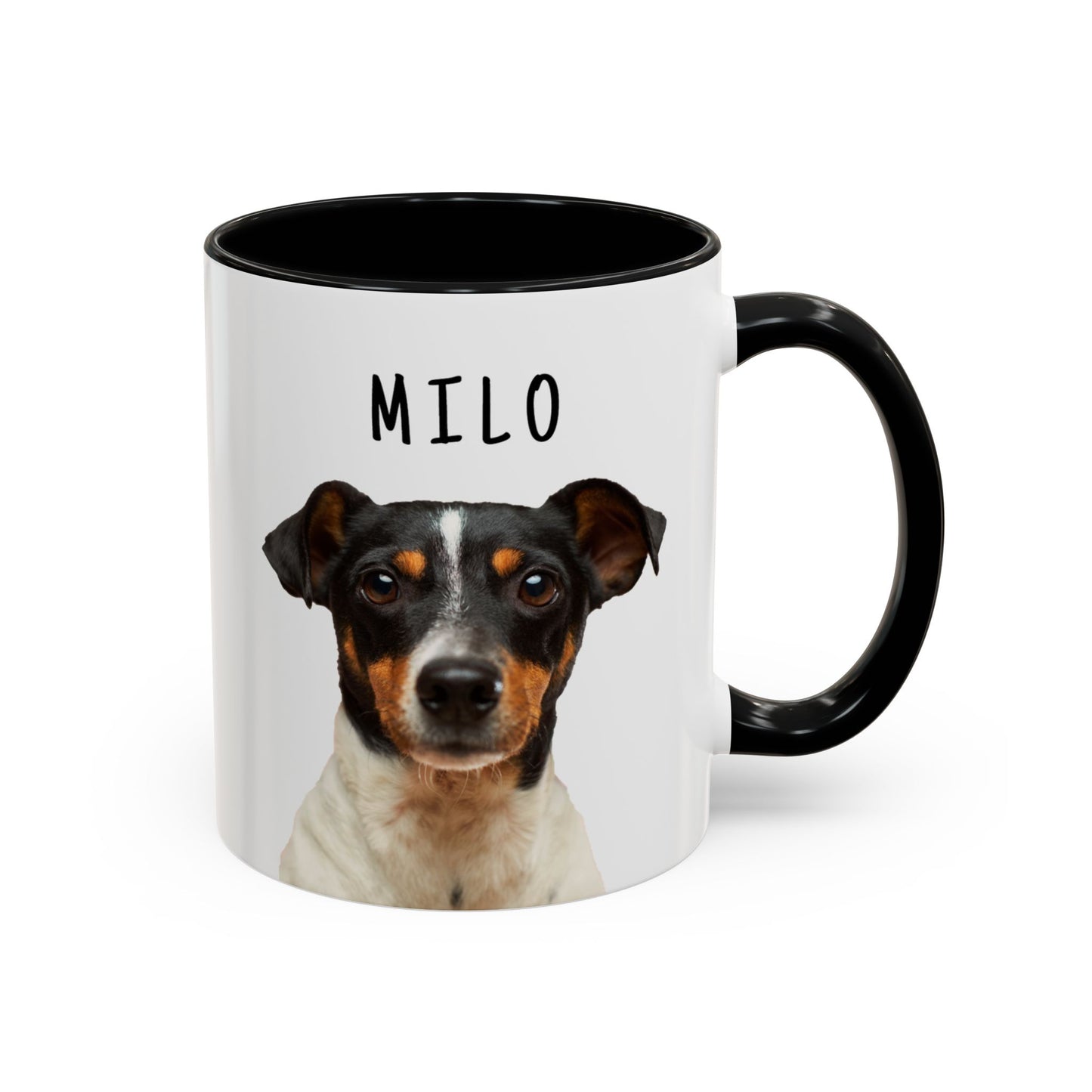 Accent Coffee Mug 11–15oz | Gift for Pet Parents